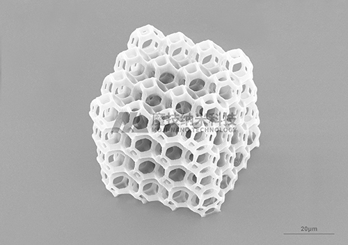 Cell scaffold (SEM)